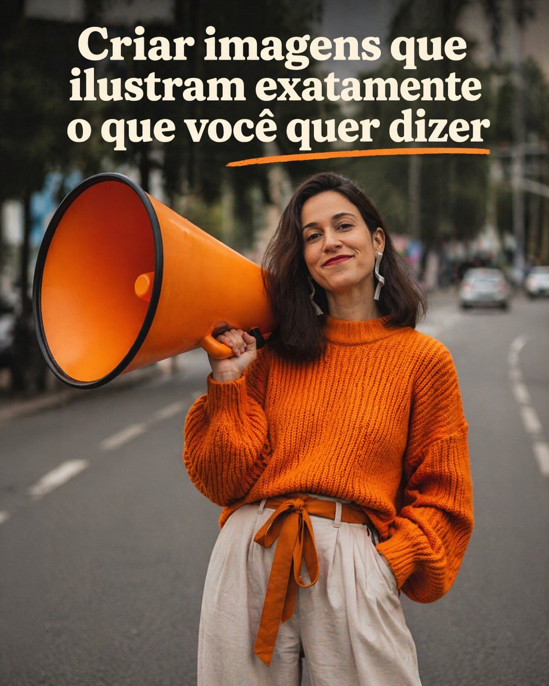 Capa de carrossel